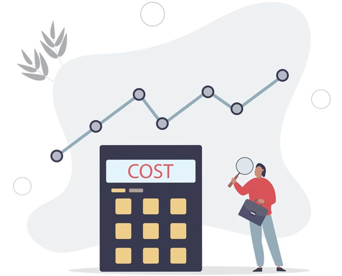 NutraSoft Cost functionality